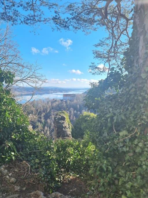 Charismatisch Und Gemuetlich In Guettingen, Nah Zum Buchensee Und Bodensee, Tolle Lage Радолфцел ам Бодензее Екстериор снимка