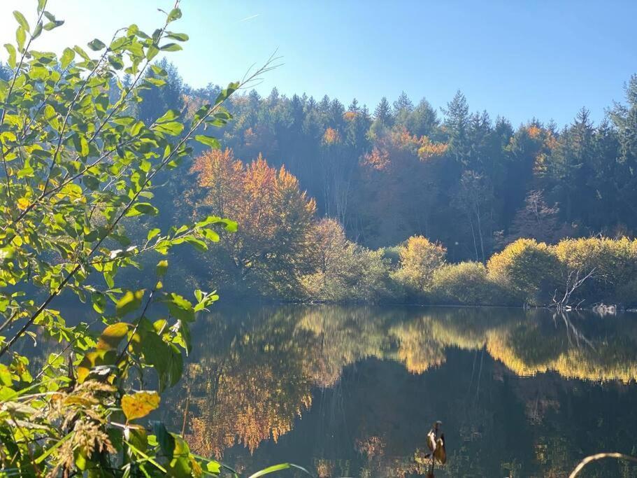 Charismatisch Und Gemuetlich In Guettingen, Nah Zum Buchensee Und Bodensee, Tolle Lage Радолфцел ам Бодензее Екстериор снимка