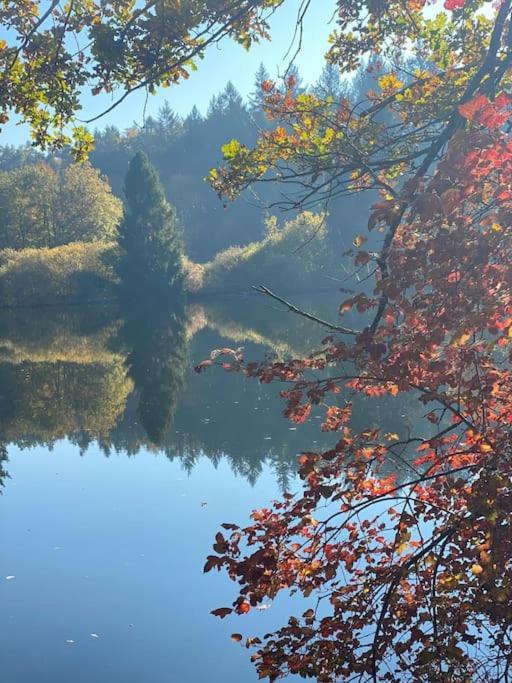 Charismatisch Und Gemuetlich In Guettingen, Nah Zum Buchensee Und Bodensee, Tolle Lage Радолфцел ам Бодензее Екстериор снимка