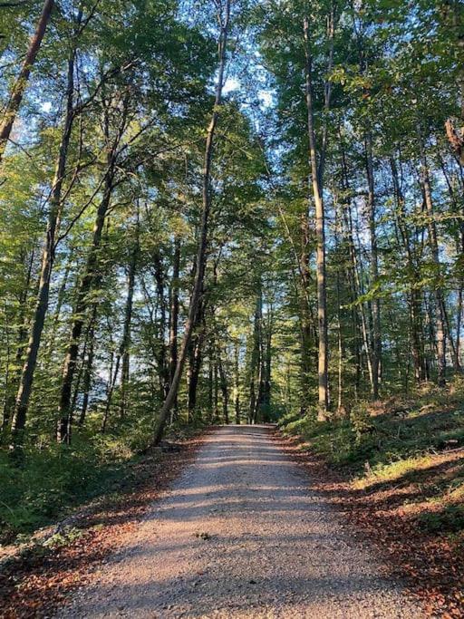 Charismatisch Und Gemuetlich In Guettingen, Nah Zum Buchensee Und Bodensee, Tolle Lage Радолфцел ам Бодензее Екстериор снимка